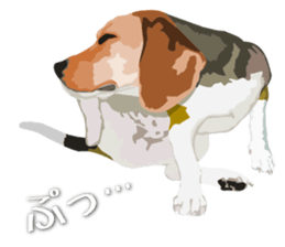 Familiar animals sticker #9838654