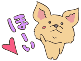 ANIMALS present YUTORI GENERATION 3 sticker #9840538