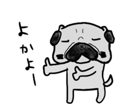 kumamoto pug sticker #9840698