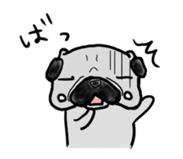 kumamoto pug sticker #9840701