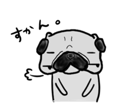 kumamoto pug sticker #9840703