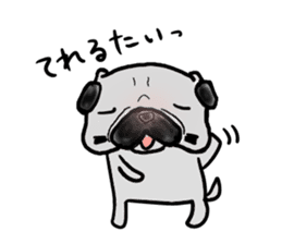 kumamoto pug sticker #9840704