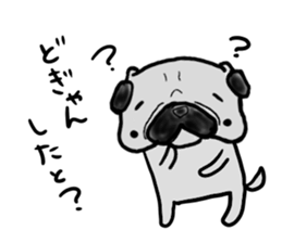 kumamoto pug sticker #9840708