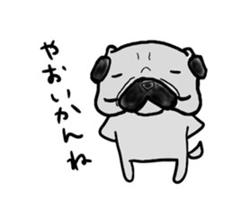 kumamoto pug sticker #9840711