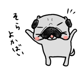 kumamoto pug sticker #9840716