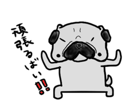 kumamoto pug sticker #9840722