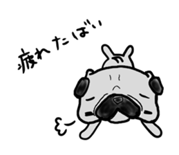 kumamoto pug sticker #9840725