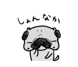 kumamoto pug sticker #9840730