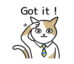 Talking Cats(English version) sticker #9842977