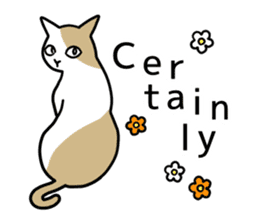 Talking Cats(English version) sticker #9842983