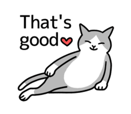 Talking Cats(English version) sticker #9842985
