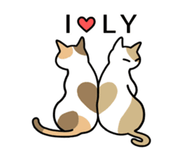 Talking Cats(English version) sticker #9842994