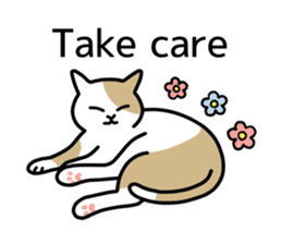 Talking Cats(English version) sticker #9843006