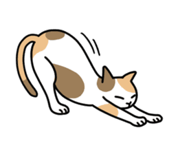 Talking Cats(English version) sticker #9843011