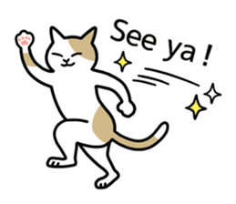 Talking Cats(English version) sticker #9843012
