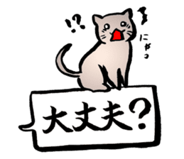 kawaii cat and japanese kanji stiker sticker #9845207