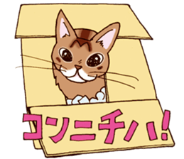 Kogeta the aby cat2 sticker #9846696