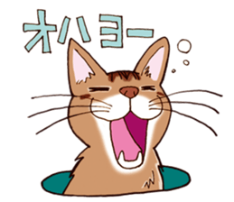 Kogeta the aby cat2 sticker #9846697