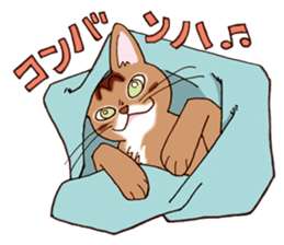 Kogeta the aby cat2 sticker #9846698