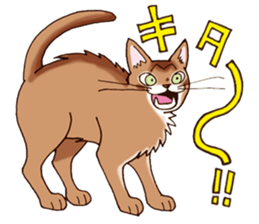 Kogeta the aby cat2 sticker #9846699