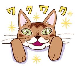 Kogeta the aby cat2 sticker #9846702