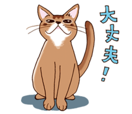 Kogeta the aby cat2 sticker #9846703