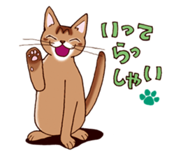 Kogeta the aby cat2 sticker #9846704