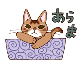 Kogeta the aby cat2 sticker #9846705