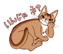 Kogeta the aby cat2 sticker #9846706