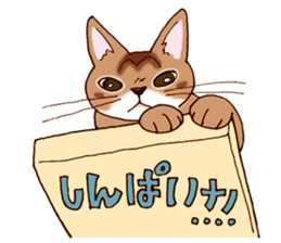 Kogeta the aby cat2 sticker #9846709