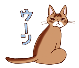 Kogeta the aby cat2 sticker #9846710