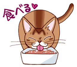 Kogeta the aby cat2 sticker #9846712