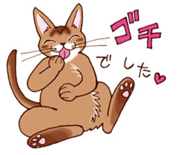 Kogeta the aby cat2 sticker #9846713