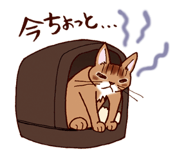 Kogeta the aby cat2 sticker #9846715