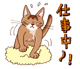 Kogeta the aby cat2 sticker #9846717