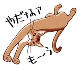 Kogeta the aby cat2 sticker #9846719