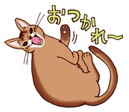 Kogeta the aby cat2 sticker #9846721
