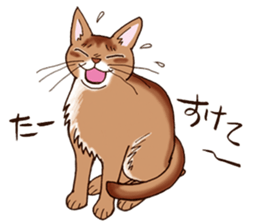 Kogeta the aby cat2 sticker #9846725