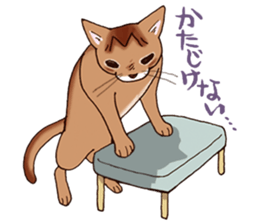Kogeta the aby cat2 sticker #9846726