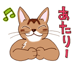 Kogeta the aby cat2 sticker #9846727