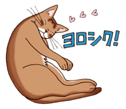 Kogeta the aby cat2 sticker #9846729