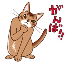 Kogeta the aby cat2 sticker #9846731