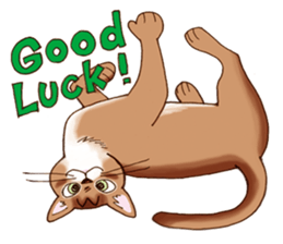 Kogeta the aby cat2 sticker #9846733