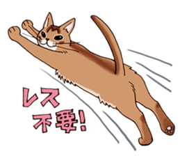 Kogeta the aby cat2 sticker #9846734