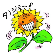 It sunflower sticker #9847675