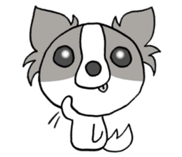 Chihuahua's LEMON3 sticker #9848496