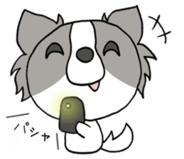 Chihuahua's LEMON3 sticker #9848515