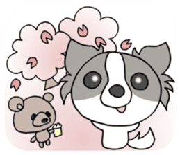 Chihuahua's LEMON3 sticker #9848528