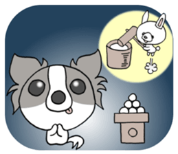 Chihuahua's LEMON3 sticker #9848532