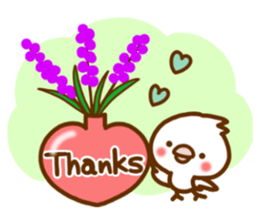 Every day, SHIRO sticker #9848542